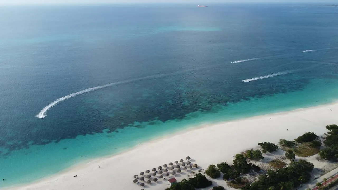 Bocobay Wariruri Condos Palm Beach 0*,
